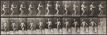 EADWEARD MUYBRIDGE (1830-1904) A selection of 4 plates from Animal Locomotion.